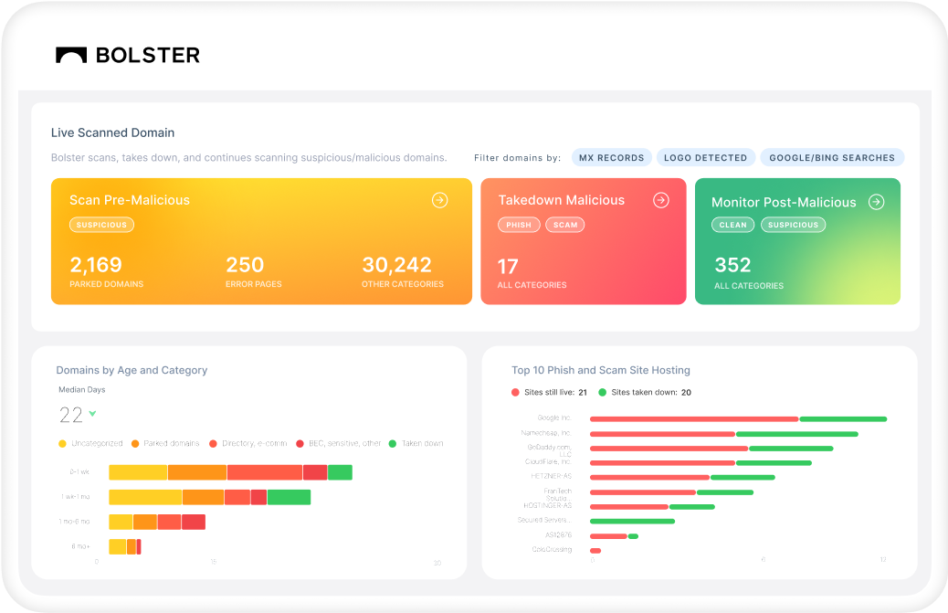 DOMAIN & WEB MONITORING