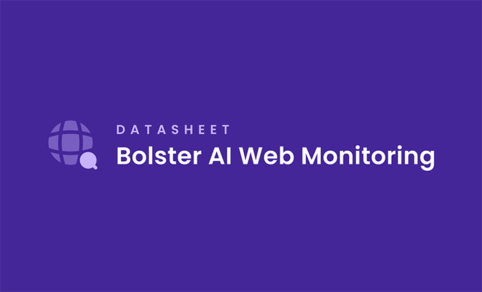 Bolster AI Web Monitoring