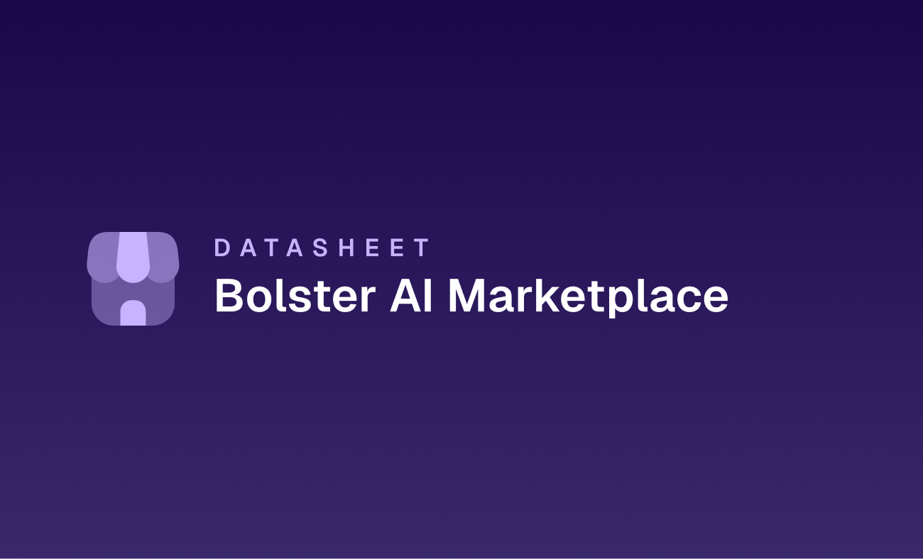 Bolster AI Marketplace