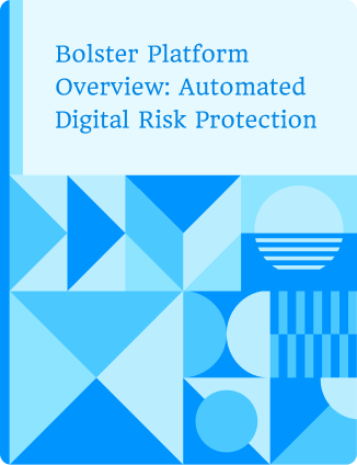 Bolster Platform Overview: Automated Digital Risk Protection